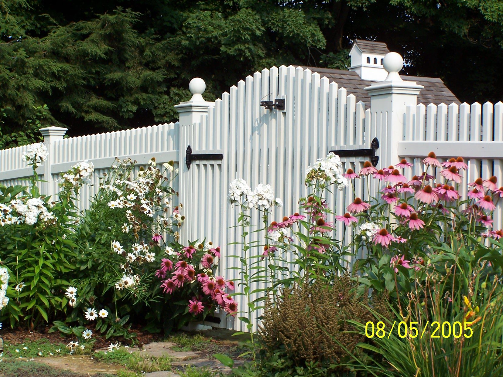 Arched Northern White Cedar picket fence with ball caps and double gate stained white, Arrow Fence Inc